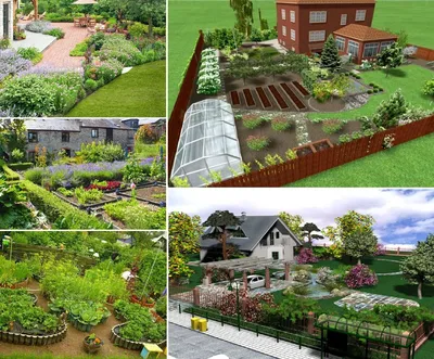 Ландшафтный дизайн сада своими руками
