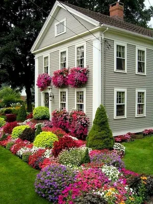 Красивый сад с нуля: советы эксперта | myDecor