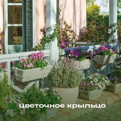 Декоративное оформление могил цветами: продажа, цена в Волковыске.  Ритуальные услуги от \"Ритуальное агентство \"Вечность\"\" - 148550205