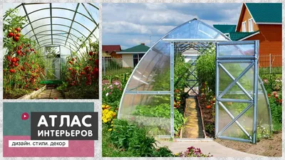CASTA GREENHOUSE DESIGN - Китайский производитель тепличного оборудования -  Sainpoly