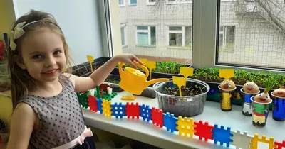 Посадили огород, посмотрите, что растет!