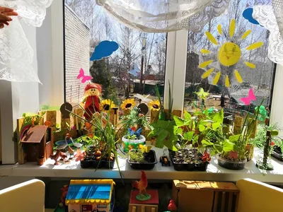 Новости -Огородная сказка на окошке