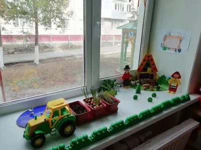 Экологическая акция \"Огород на окне\"