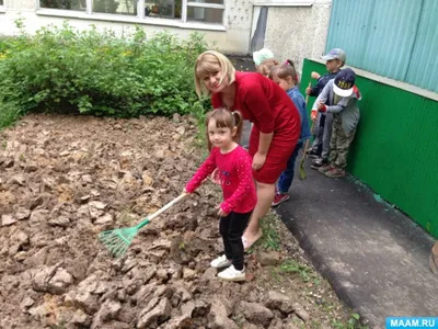 Как создать красивые грядки в огороде: советы и идеи ландшафтного дизайна