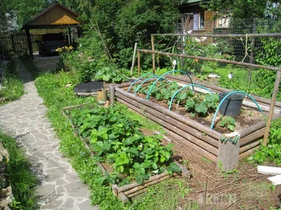 BB.lv: Как сделать на огороде или дачном участке высокие грядки