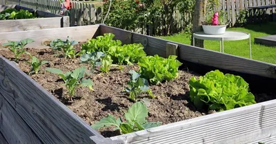 Купить Грядка для растений Garden Bed Цены | Helas.ru Владимир, Основной,  Архангельск, Тюмень, Волгоград, Основной склад, Москва, Рязань, Ярославль,  Рыбинск, Уфа, Неликвид, СПБ, СПБ, Новосибирск, Челябинск