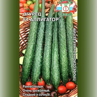 Огурец Аллигатор F1 0,2 гр. купить оптом в Томске по цене 43,36 руб.