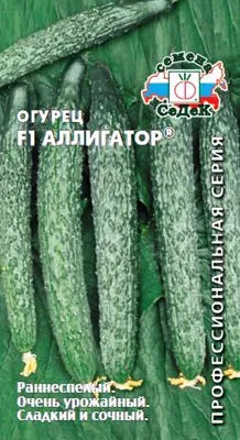 Огурцы Седек ос-1506 - купить по выгодным ценам в интернет-магазине OZON  (439035937)