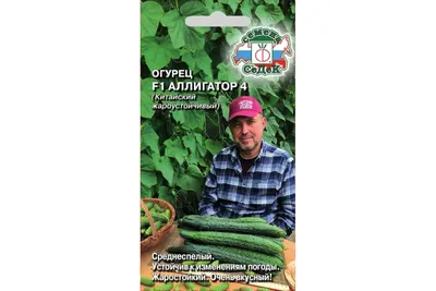 Огурец «Аллигатор»F1, 0,2 г (Остаток 8 шт !!!): продажа, цена в Минске.  Семена и рассада овощных культур от \"ИП Сербантова А.А. УНП 190136086  Свидетельство выдано Мингорисполкомом решением 931 от 19.08.2000 г.\" -  87720392