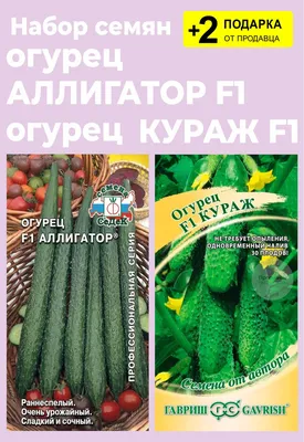 Огурец СеДеК Аллигатор 4 F1 Китайский жароустойчивый , ПО, ОГ, тепл,  25-35см, плодонос. до замороз., жаростойк, Евро, 0.2 I0000015162 - выгодная  цена, отзывы, характеристики, фото - купить в Москве и РФ