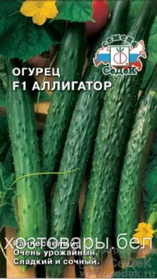 Семена Огурец, Аллигатор 4 F1, 0.2 г, цветная упаковка, Седек в Шахтах:  цены, фото, отзывы - купить в интернет-магазине Порядок.ру