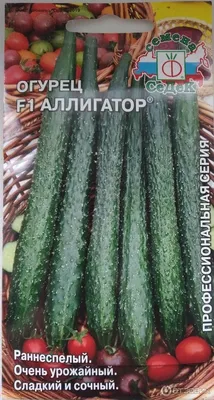 Огурец Аллигатор | Ореховый Рай