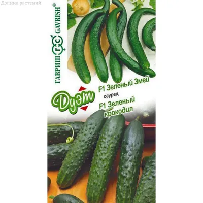 Выращивание огурцов на агроволокне: советы от Agro-Market