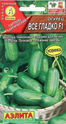 Огурец Зеленый Змей F1+Зеленый крокодил 🥒 купить с доставкой почтой, цены,  фото в интернет-магазине Dolinasad.by