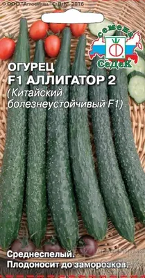 Огурец Хрустящий аллигатор F1, 0,2 г купить недорого в интернет-магазине  товаров для сада Бауцентр