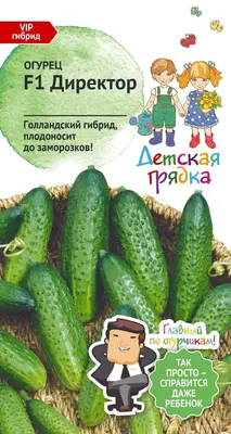Семена Тимирязевский питомник огурец Директор F1 5 шт. 4607189275609 -  выгодная цена, отзывы, характеристики, фото - купить в Москве и РФ