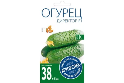 ОГУРЕЦ ДИРЕКТОР F1 5 шт.