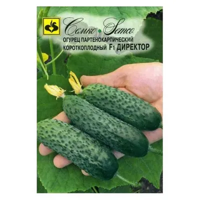 Огурец Директор F1 ф.п.10шт |