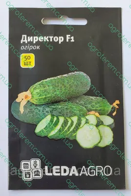 Огурец Директор F1, 10 шт, Голландские семена (ID#2032426364), цена: 44 ₴,  купить на Prom.ua