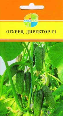 Огурец Директор F1 (5шт) Партнер - Нетипичный фермер