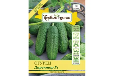 Огурец Директор F1 (5шт) Партнер - Нетипичный фермер