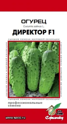 Огурец Директор F1, семена (N)