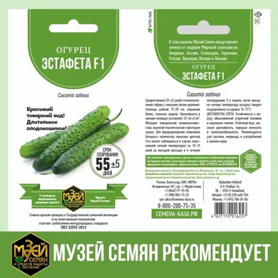 Огурец эстафета в Киеве и пригороде: купить по хорошей цене с доставкой.  Розница, фасовка кг