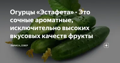 Семена огурца Эстафета Музей семян - Удобрения МЕРА