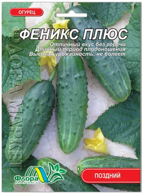 Огурец Феникс Плюс Купить (4 Грн)