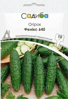 Огурец Феникс Плюс 5 грамм (Украина) (ID#1376718939), цена: 19 ₴, купить на  Prom.ua