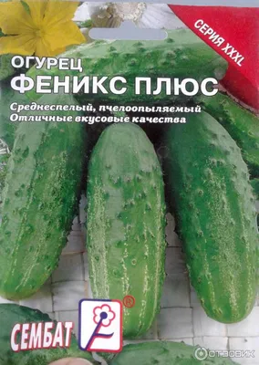 Огурец Феникс плюс 300 семян ТМ Солнечный март: продажа, цена в Лубнах.  Семена и рассада овощных культур от \"Zakladka\" - 1748584011