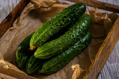 Огурцы короткоплодные с бесплатной доставкой на дом из «ВкусВилл» | Москва  и вся Россия