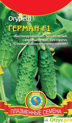 Семена ОГУРЕЦ «ГЕРМАН» F1 - купить по оптовой цене!