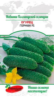 Огурец Герман F1 (ЦВ*) 12шт. купить в Смоленске