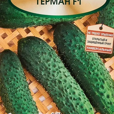 Огурец Герман F1, Seminis - 1000 семян