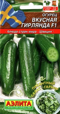 Сибирская гирлянда семена купить