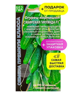 Семена Гавриш Огурец Гирлянда F1 серия 1+1, 20 шт. 191021420 - выгодная  цена, отзывы, характеристики, фото - купить в Москве и РФ