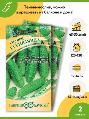 Огурец Изумрудная гирлянда, 20 шт., купить в интернет магазине Seedspost.ru