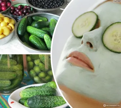 Семена огурец Аэлита Вкусная гирлянда F1 100645 1 уп. - купить в Москве,  цены на Мегамаркет