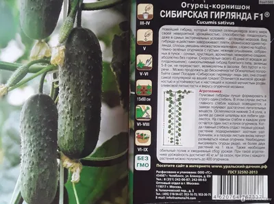 Огурец \"Гирлянда F1\"(Новый пакет) ТМ \"Весна\" 0.25г купить почтой в Одессе,  Киеве, Украине | Agro-Market