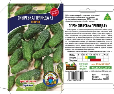Огурец Гирлянда. Опыт выращивания. | Любин огород | Дзен