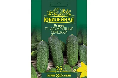 Огурец Изумрудные сережки (семена) | ⚡ Бесплатная доставка завтра |  AliExpress