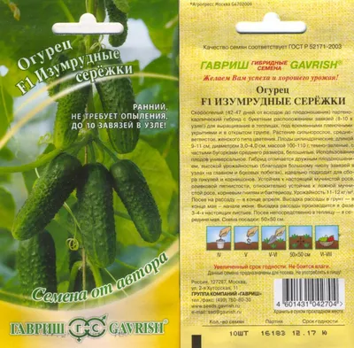 Огурцы Изумрудные сережки, характеристика и выращивание