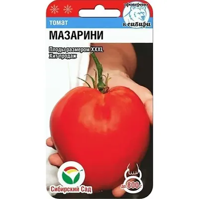 Серьги Кукуруза Лэмпворк Желтые Зеленые Овощи из Муранского Стекла купить в  интернет-магазине Ярмарка Мастеров по цене 2950 ₽ – RAGA4BY | Серьги  классические, Москва - доставка по России
