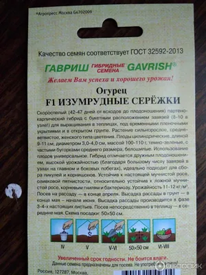Огурцы гладкие 300 г - отзывы покупателей на маркетплейсе Мегамаркет |  Артикул: 100028179519