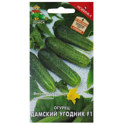Огурцы соленые фермерские купить с доставкой на дом по цене 645 рублей в  интернет-магазине