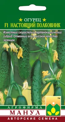 Зеленые броши в форме огурца стразы, Золотая эмаль, булавка, овощи, фрукты,  брошь для женщин, шарф, платье, ювелирные изделия, подарок | AliExpress