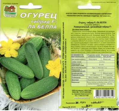 Ассорти Самокат огурцы корнишоны и томаты зелёные, солёные, 300 г - отзывы  покупателей на маркетплейсе Мегамаркет | Артикул: 100052289258