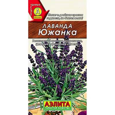 Огурцы растут пучками: Эти семена хитрые дачники скупили еще в январе —  весной искать будет поздно - новости Хибины.ru