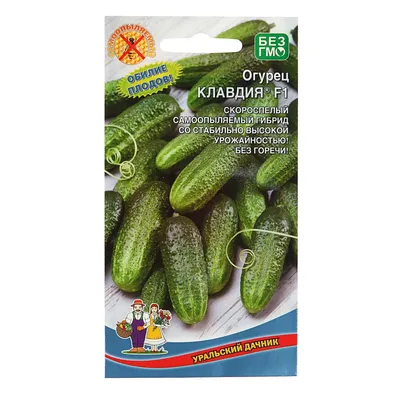 Семена Огурец \"Клавдия\" F1, 0.2 г. (6481912) - Купить по цене от 42.30 руб.  | Интернет магазин SIMA-LAND.RU